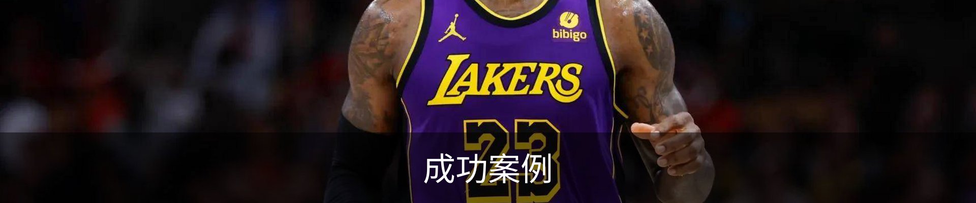 成功案例