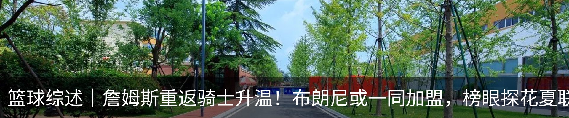 最新动态