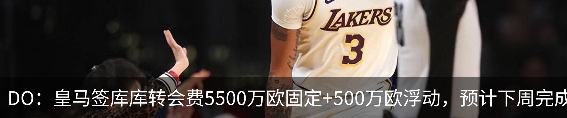 最新动态